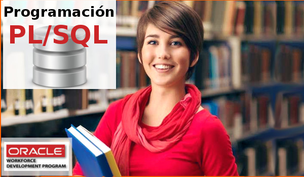 PL/SQL PL/SQL